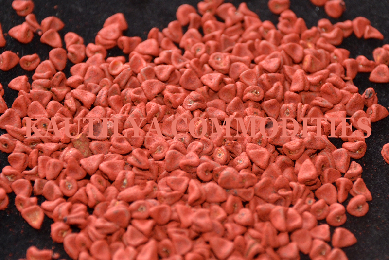 Annatto Seeds
