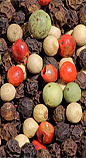 Black Pepper
