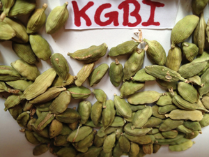 Cardamom