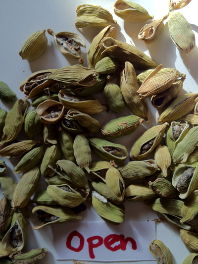 Cardamom Open Pods