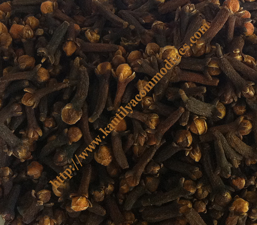 Clove Stems from Madagascar