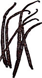 Vanilla Pods