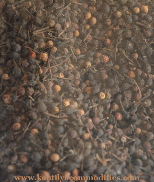 Voatsiperifery Pepper